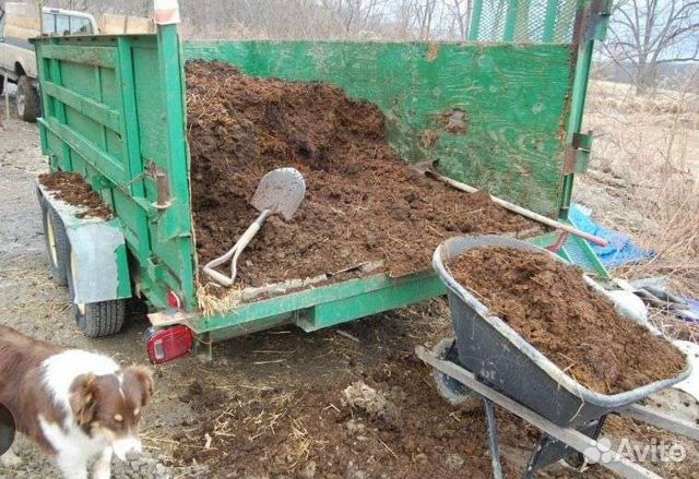 Навоз конский в мешках