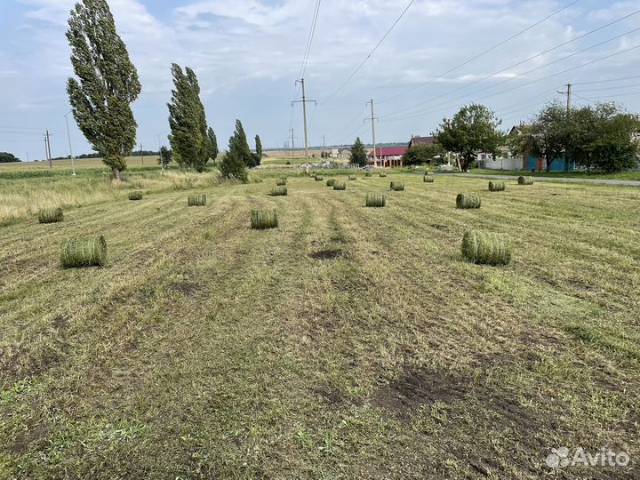 Сено в тюках