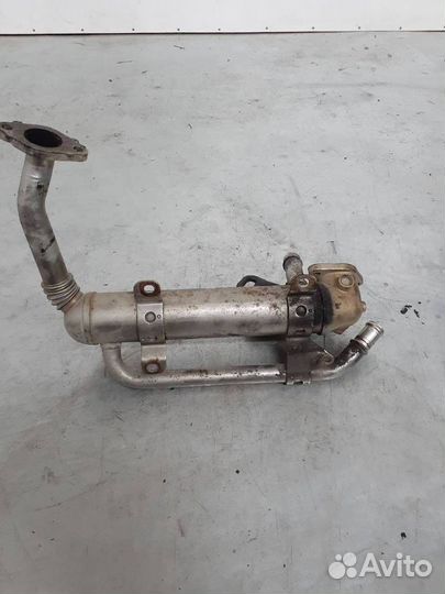 Радиатор EGR Skoda Fabia 2 (5J) 2008 03G131512