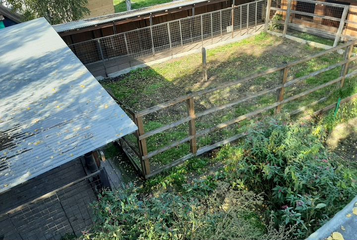 Дом 31 м² на участке 10 сот.