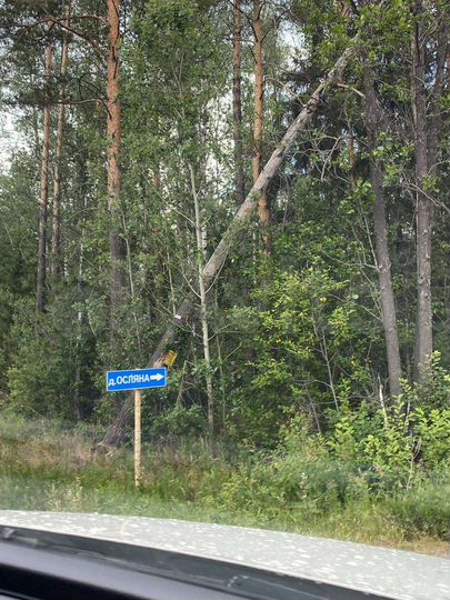 Участок 12 сот. (СНТ, ДНП)