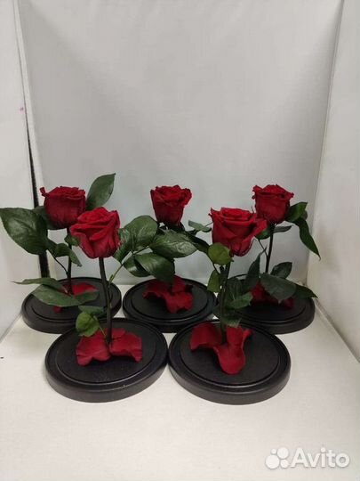 Подарок маме / Роза в колбе оптом