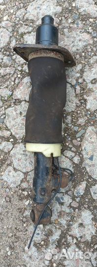 Пневмостойка задняя левая Ауди А6 С5 Allroad