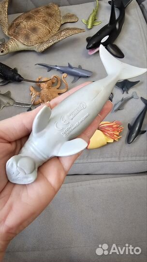 Коллекция морских обитателей