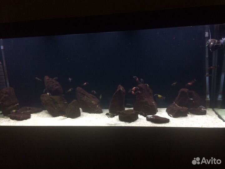 Аквариумный светильник