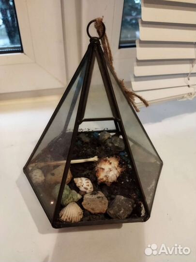 Флорариум суккуленты