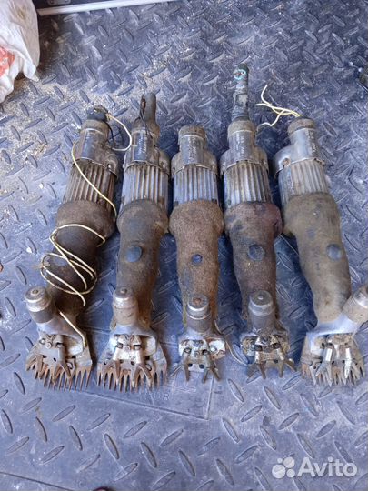 Товары для животных