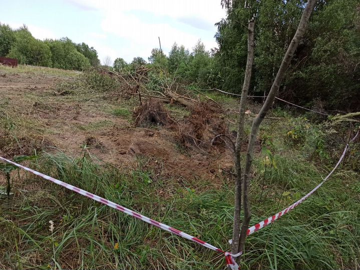 Участок 17 сот. (ИЖС)