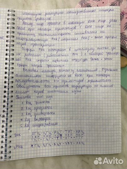 Пишу конспекты/лекции