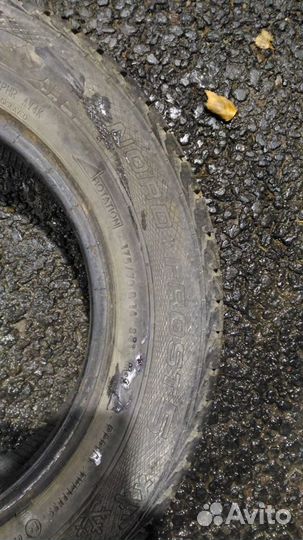 Gislaved Nord Frost 5 175/70 R14 84T