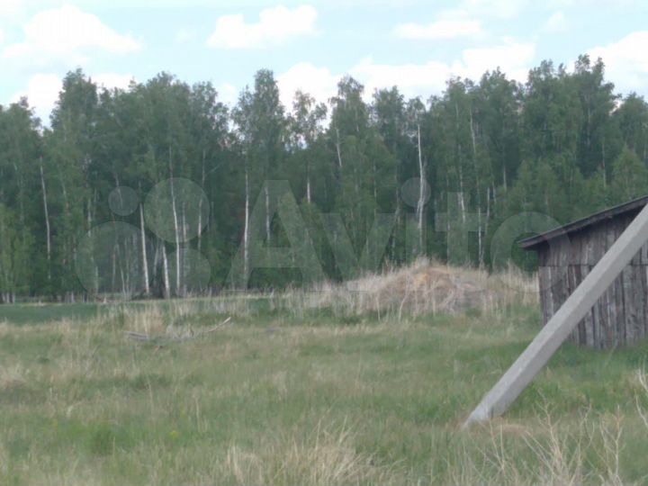 Участок 4 га (СНТ, ДНП)