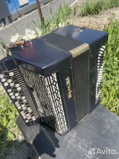 Баян тула 304