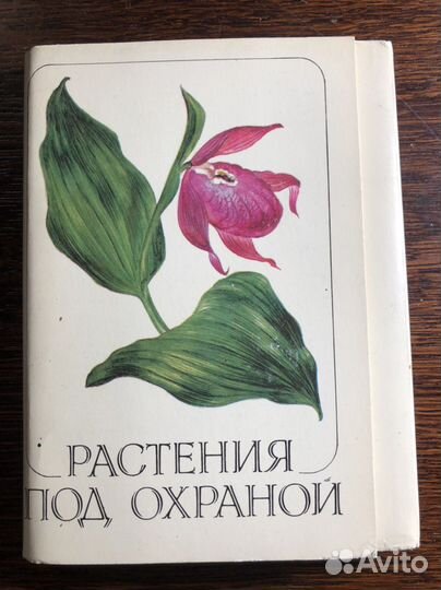 Растения под охраной, Набор открыток 1983
