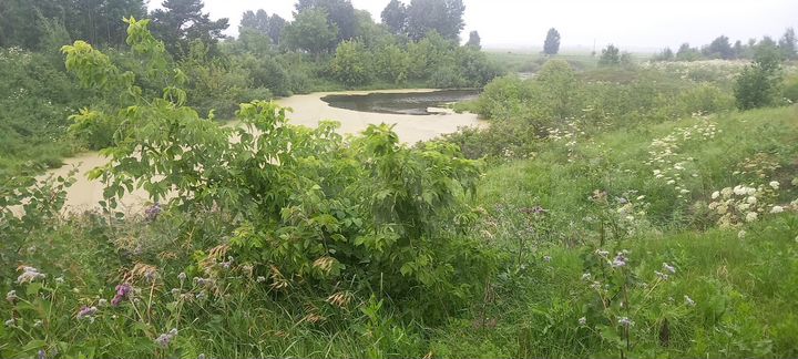 Участок 1,5 га (СНТ, ДНП)