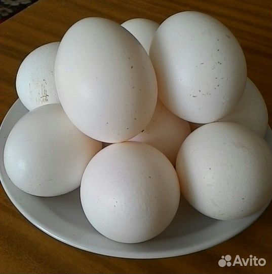 Молоко козье, сыр, мясо домашней птицы