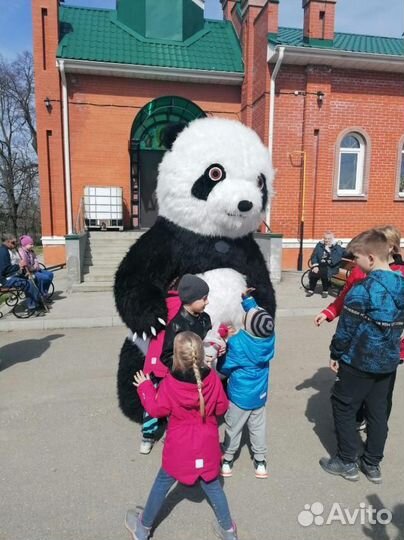 Белый Мишка поздравление. Ростовые куклы, аренда