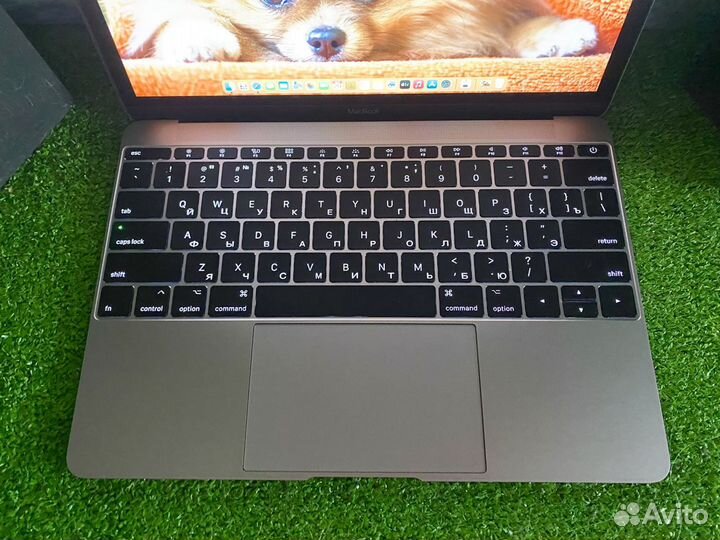 MacBook 12 2018 M3 16gb 256gb Отличный