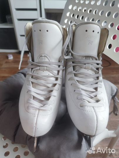 Фигурные коньки risport RF3 pro 240