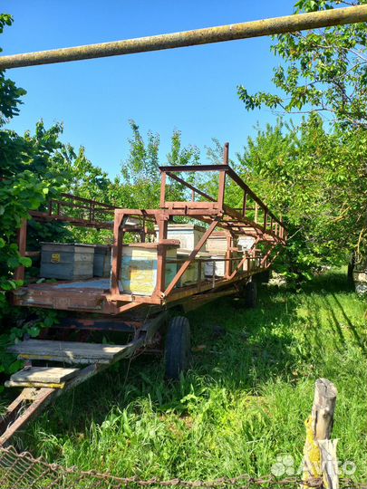 Пасека, пчелосемьи