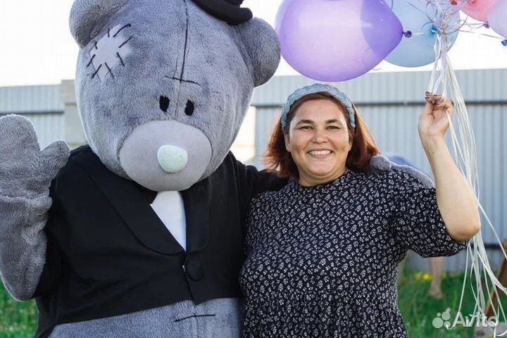 Поздравление от Мишки Тедди, аренда костюма