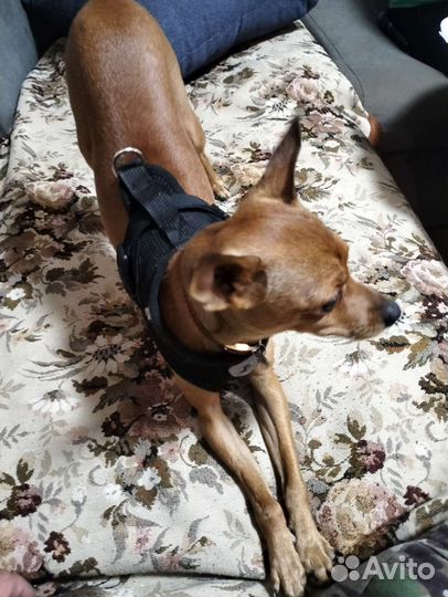 Мальчик ищет девочку