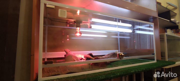 Террариум для рептилий бу