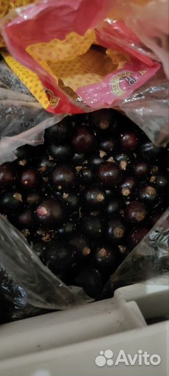 Компот,морс домашний