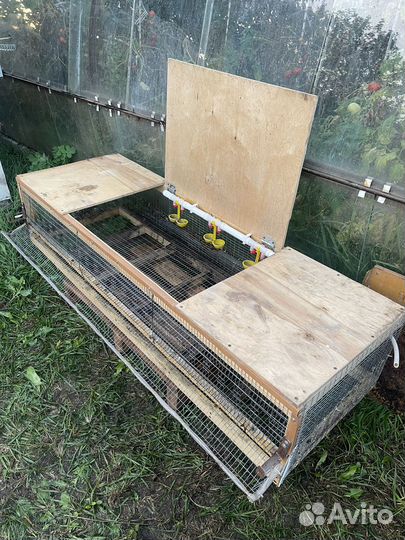 Клетка для перепелок