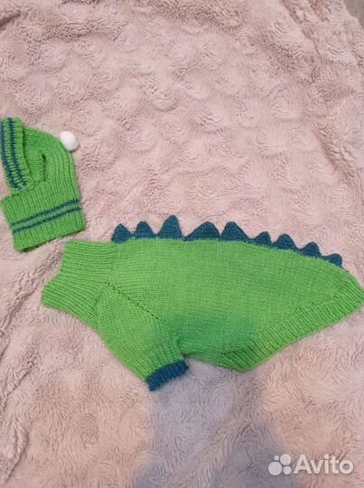 Комплект для йорка и других пород