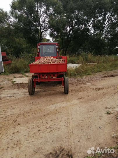 Продаётся деревенский картофель