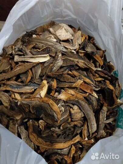 Сушеные грибы подосиновик (красные)