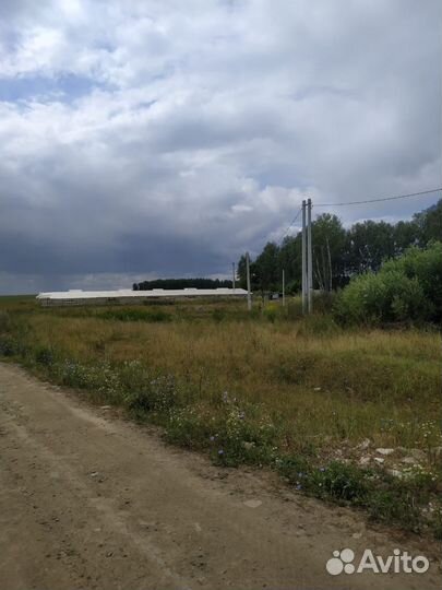 Продается тепличный комплекс. Теплицы 2500 кв. м