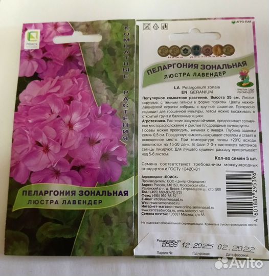 Семена Пеларгонии