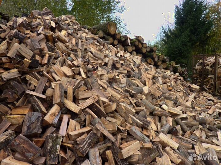 Дрова осина ольха береза