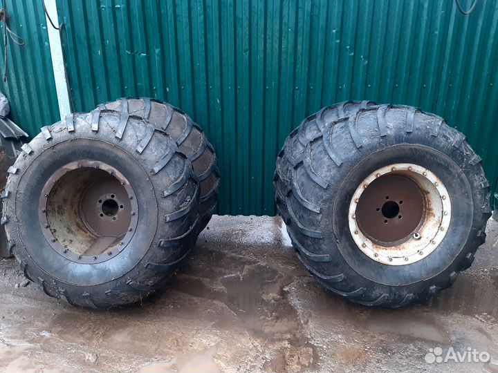 Ободрыши от урал лаптежник