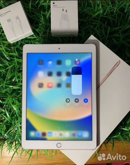 iPad Pro 9.7 Wi-Fi + Cellular + Procreate