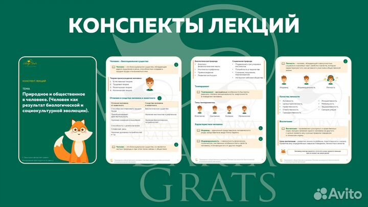 Репетитор обществознание ОГЭ ЕГЭ