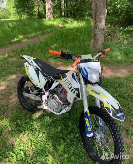 Avantis fx250 lux
