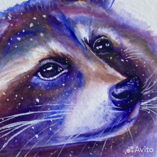 Акварельная картина енотик