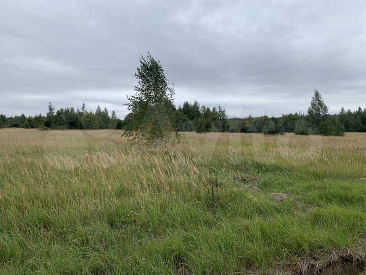 Участок 10 сот. (ИЖС)