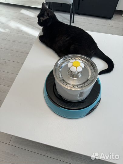 Автоматическая кормушка для кошек и собак