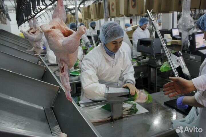 Упаковщик мясной продукции. Вахта