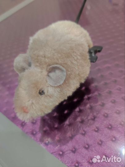 Новый домик-когтеточка