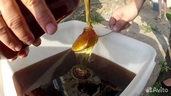 Оптом мед Гречишный