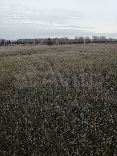 Участок 9,8 сот. (СНТ, ДНП)