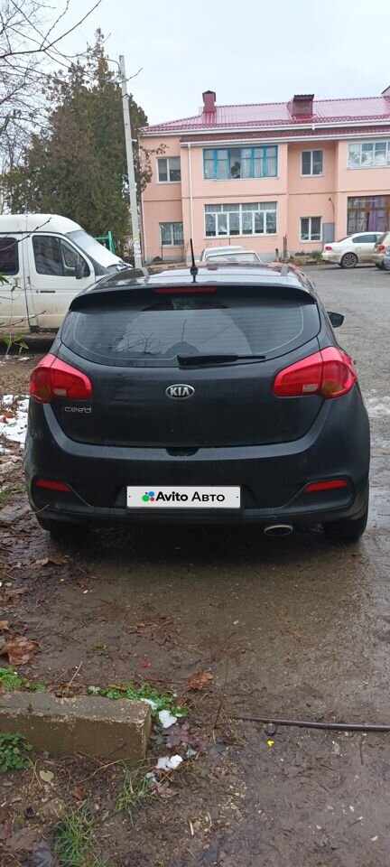 Kia Ceed: фото владельца