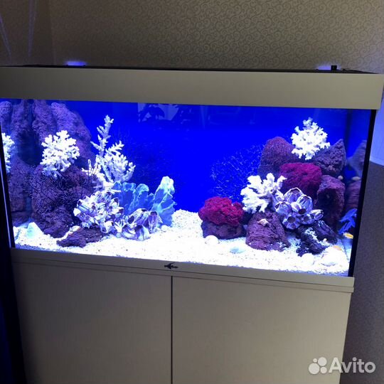 Обслуживание и установка аквариумов