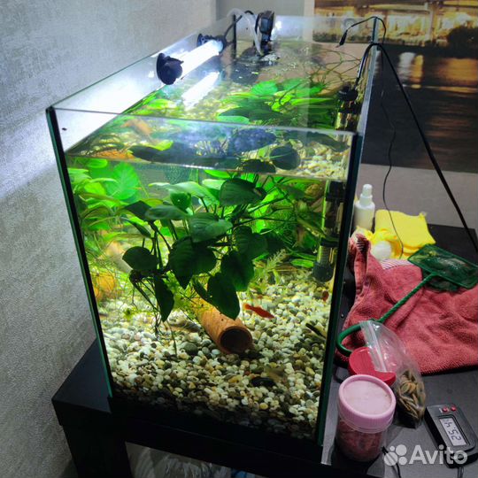 Аквариум полный комплект