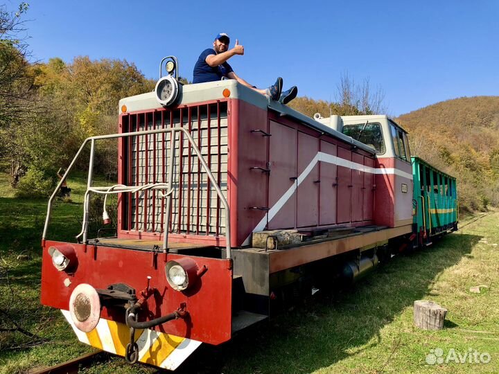 Экскурсия на поезде