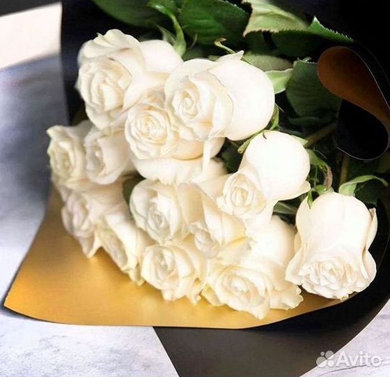 Высокие розы Доставка цветов